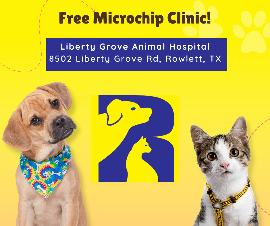 Microchip Clinic (5)